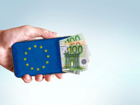 Hand holding a blue wallet with the European Union flag, euro banknotes sticking out from the side.